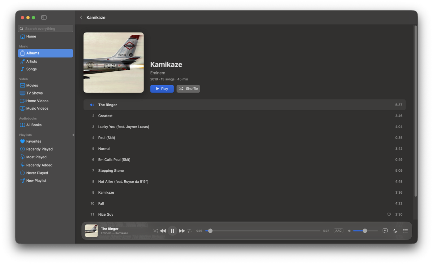 Album view with track list and playback controls